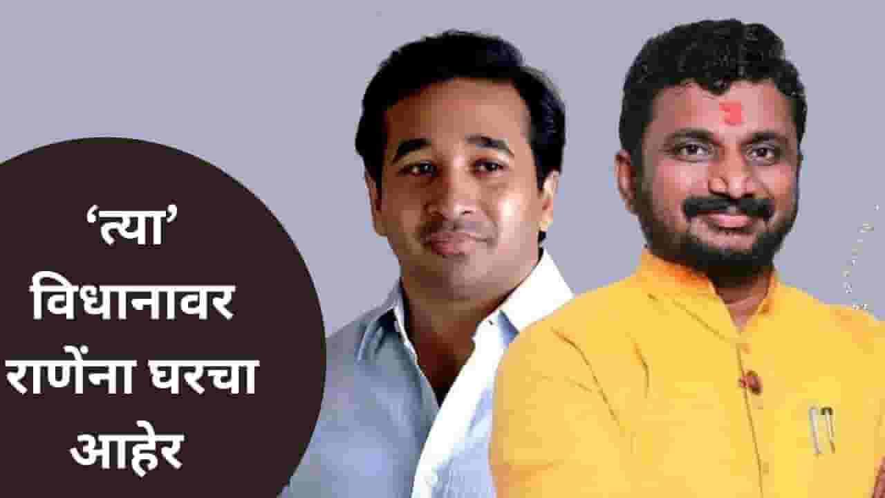 Amol Mitkari : 'लाडके असले तरी काहीही बोलायला मुभा नाही'; नितेश राणेंना मिटकरींचा घरचा आहेर