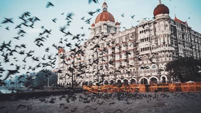 उन्हाळी सुट्ट्यांमध्ये मुलांसह मुंबईची ही ठिकाणं करा एक्स्प्लोअर