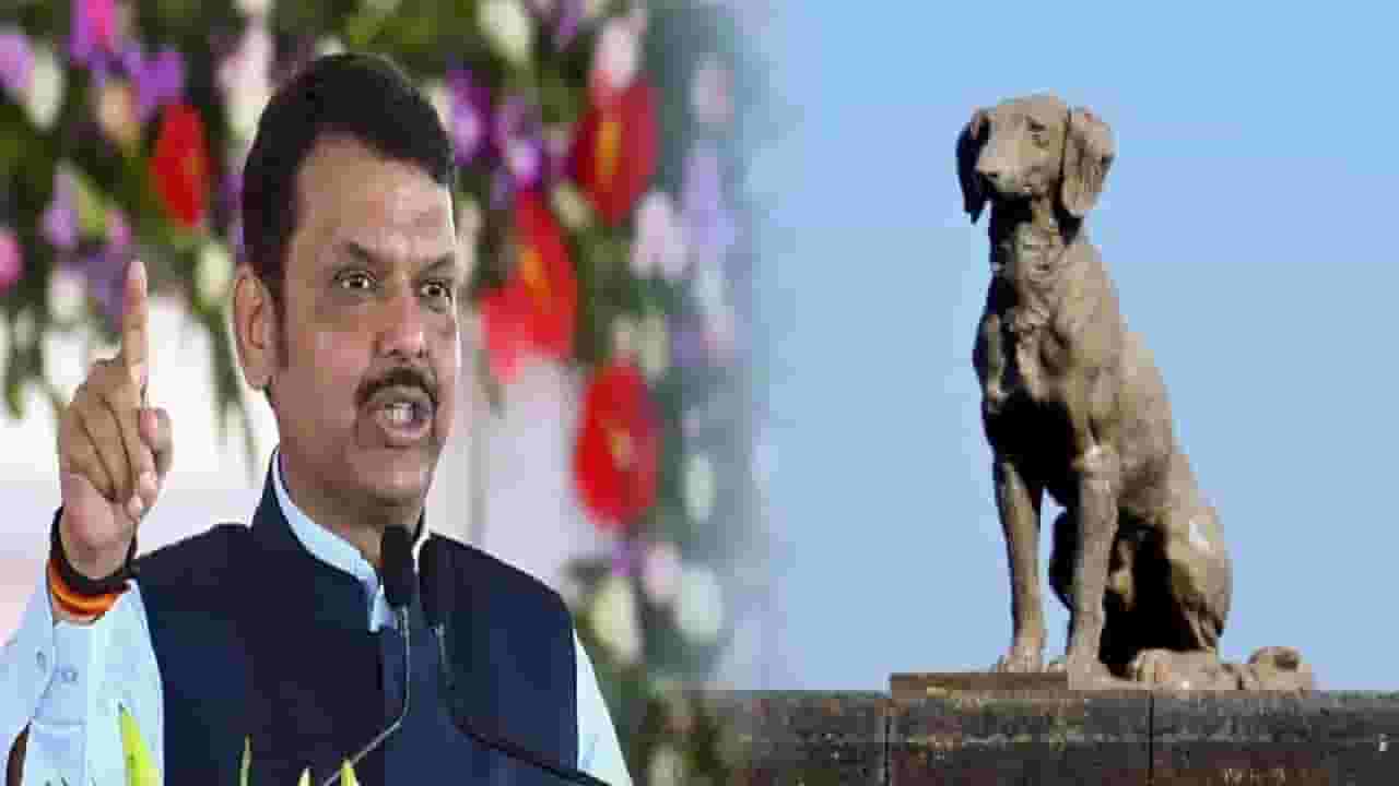 Devendra Fadnavis : 'प्रत्येक गोष्टीत वाद...', वाघ्या कुत्र्याच्या समाधीवरून सुरू असलेल्या वादावर सवाल अन् मुख्यमंत्री संतापले Devendra Fadnavis : 'प्रत्येक गोष्टीत वाद...', वाघ्या कुत्र्याच्या समाधीवरून सुरू असलेल्या वादावर सवाल अन् मुख्यमंत्री संतापले