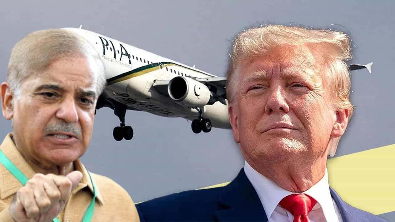 पाकिस्तानी नागरिकांना अमेरिकेत नो एन्ट्री करण्यापूर्वी ट्रम्पचा मोठा धक्का, पाकिस्तान धोकादायक देशांच्या यादीत