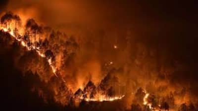 हवामान बदलामुळे जंगलात आग लागण्याच्या घटनांमध्ये वाढ