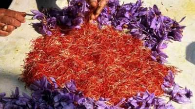 थांबा! केशर खरेदी करताय? संजीव कपूर यांचे हे गुपित जाणून घेतल्याशिवाय खरेदी करू नका