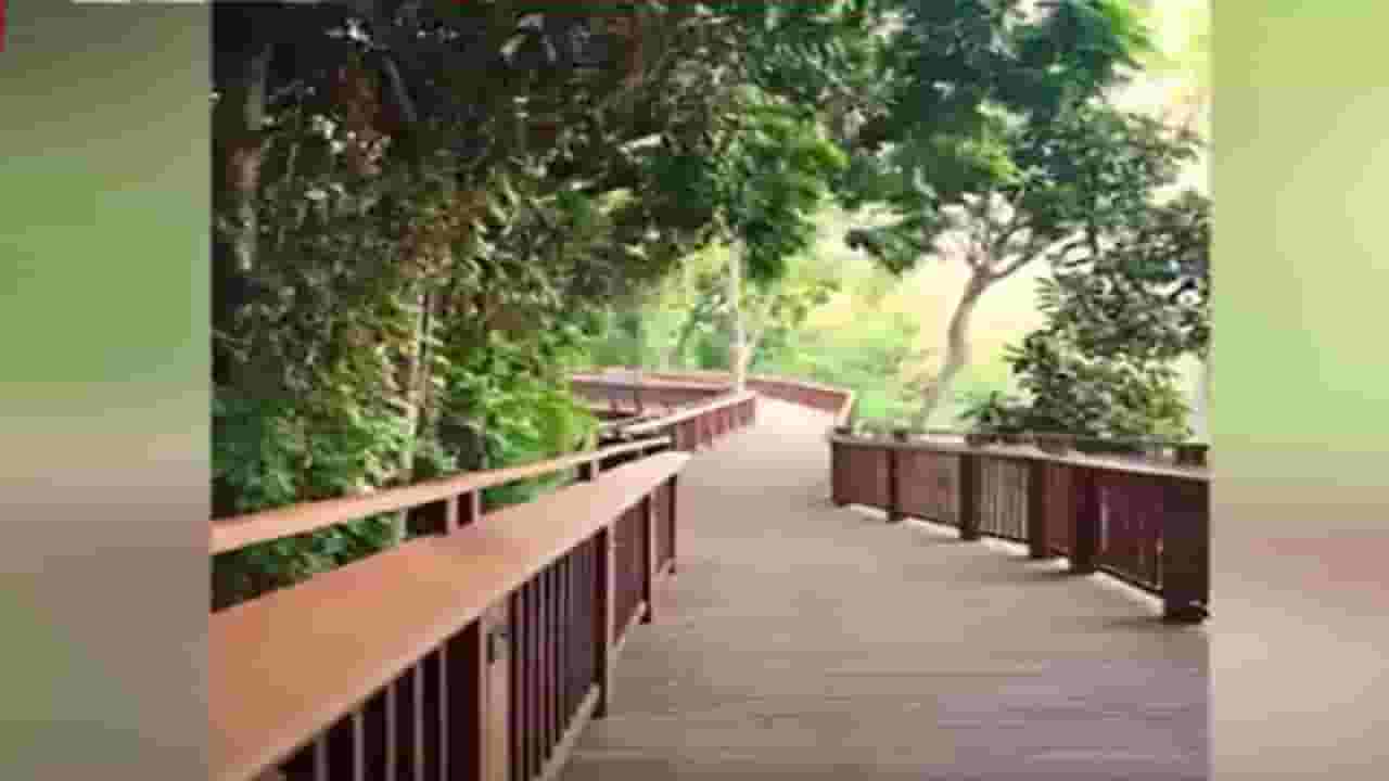 आता मुंबईतच सिंगापूर... निसर्गाच्या सान्निध्यात भटकंतीचा पहिलाच 'उन्नत मार्ग' आजपासून खुला आता मुंबईतच सिंगापूर... निसर्गाच्या सान्निध्यात भटकंतीचा पहिलाच 'उन्नत मार्ग' आजपासून खुला