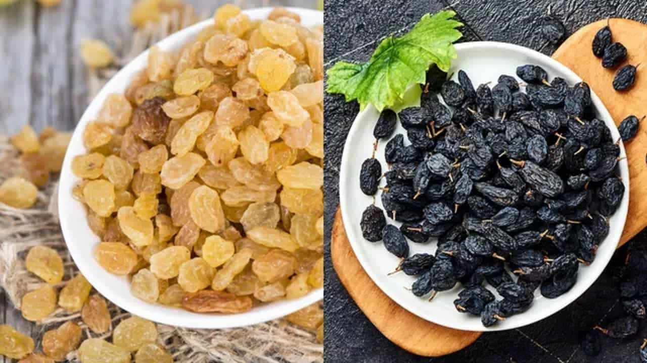 किशमिश आणि मनुका सारखेच आहेत का? 90% लोकांना हा फरक माहित नसेल, आरोग्यासाठी कोणता अधिक फायदेशीर?