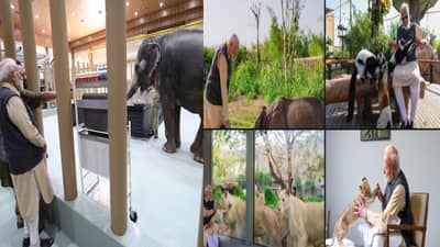 हत्तींवर ॲसिड हल्ला, मुद्दाम काढण्यात आलेले डोळे..., वनतारा दौऱ्यानंतर मोदींची मन हेलावणारी पोस्ट