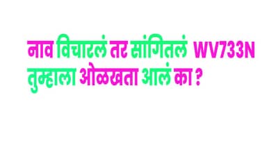 GK Quiz : नाव विचारलं तर सांगितलं WV733N, तुम्हाला ओळखता आलं का ?