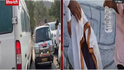 Shivneri Fort Bees Attack Video : शिवनेरीवर शिवजन्मोत्सव साजरा होत असताना 15 ते 20 जण जखमी, सलग दुसऱ्या दिवशी काय घडलं?