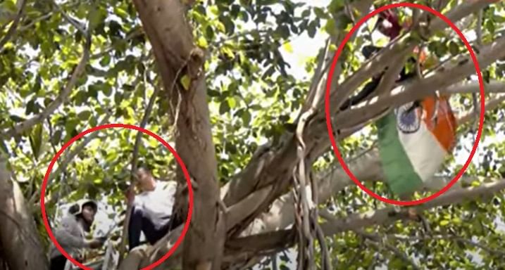 दोन अग्निशमन दलाचे जवान शिडीच्या सहाय्याने झाडावर चढले आहेत. जवान व्यक्तीला खाली उतरवण्याचा प्रयत्न करत आहेत. व्यक्तीला समजवण्याचा प्रयत्न पोलिसांकडून देखील सुरू आहे. पण व्यक्ती झाडावर आणखी वर जाऊन बसली आहे.