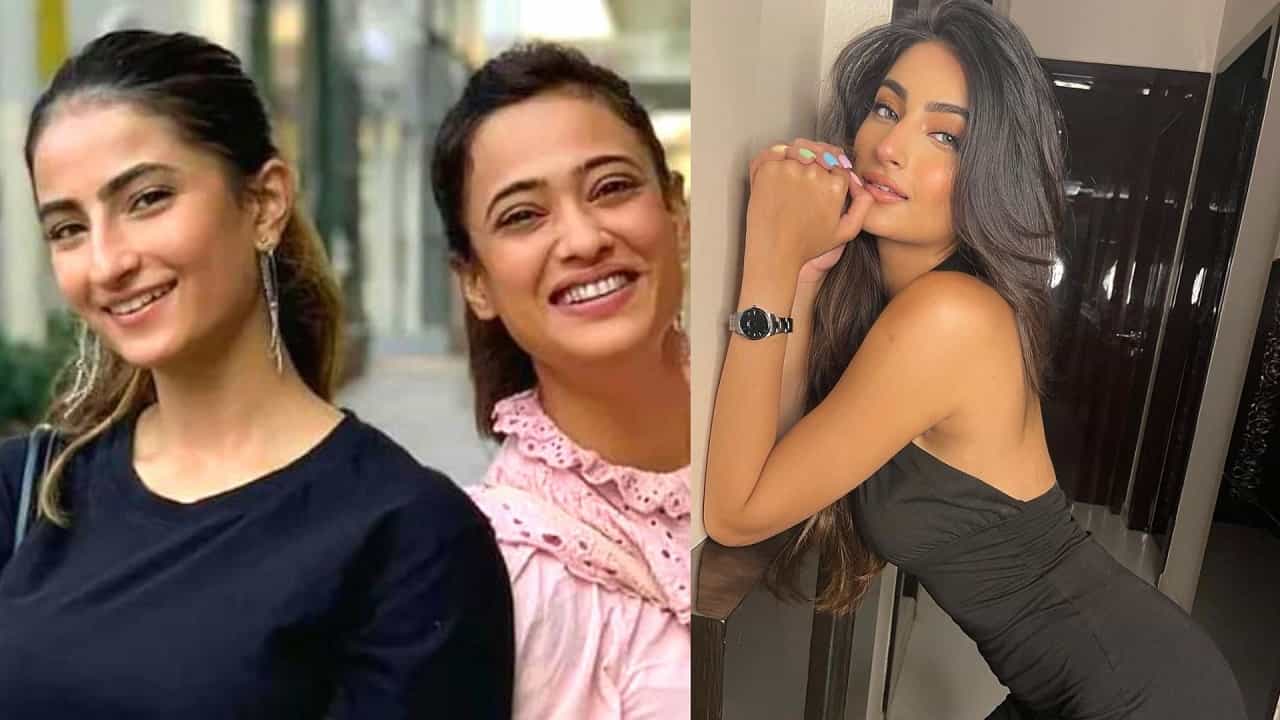 तो पलकला अश्लील व्हिडीओ दाखवायचा आणि..., लेकीसोबत वाईट कृत्य करणाऱ्या व्यक्तीवर भडकली श्वेता तिवारी