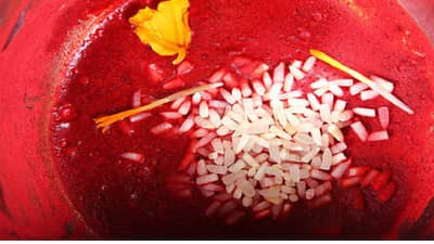 Vastu Tips: तांदळाचा हा उपाय चमकवेल तुमचं नशिब, एकदा नक्की ट्राय करा