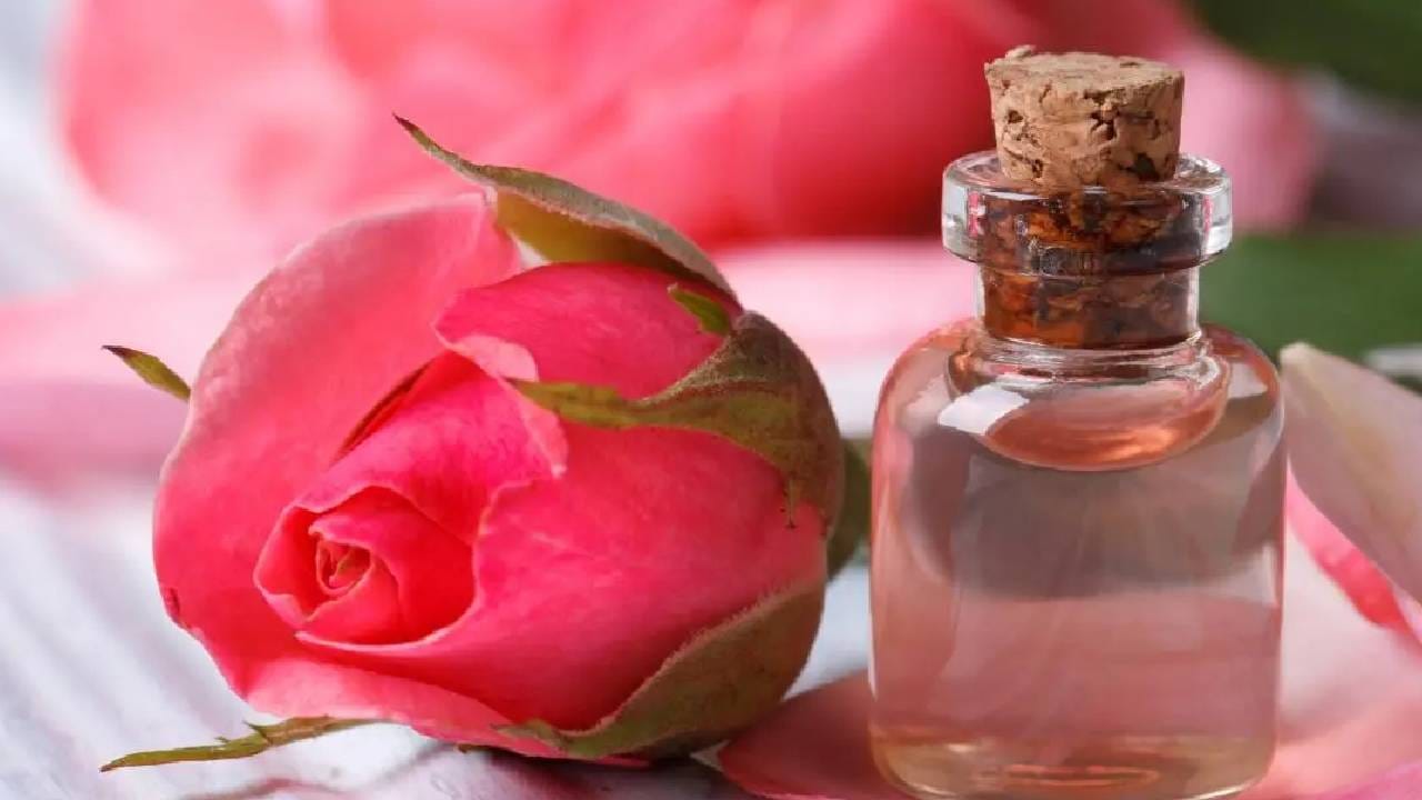 आता पिंपल्सच्या समस्या होणार दूर; गुलाब पाण्यात 'या' गोष्टी मिसळून तर पहा आता पिंपल्सच्या समस्या होणार दूर; गुलाब पाण्यात 'या' गोष्टी मिसळून तर पहा