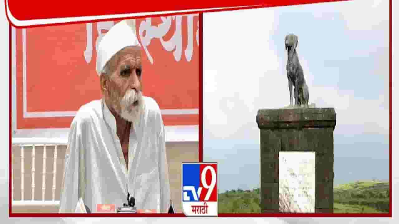 Sambhaji Bhide : '...हेच सत्य अन् संभाजीराजे बोलले ते 100 टक्के चूक', रायगडावरील वाघ्या कुत्र्यासंदर्भात भिडे गुरूजींचं मोठं वक्तव्य Sambhaji Bhide : '...हेच सत्य अन् संभाजीराजे बोलले ते 100 टक्के चूक', रायगडावरील वाघ्या कुत्र्यासंदर्भात भिडे गुरूजींचं मोठं वक्तव्य