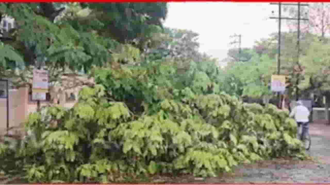 Solapur Rain News : भर उन्हात बरसल्या अवकाळी पावसाच्या सरी