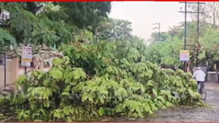 Solapur Rain News : भर उन्हात बरसल्या अवकाळी पावसाच्या सरी Solapur Rain News : भर उन्हात बरसल्या अवकाळी पावसाच्या सरी
