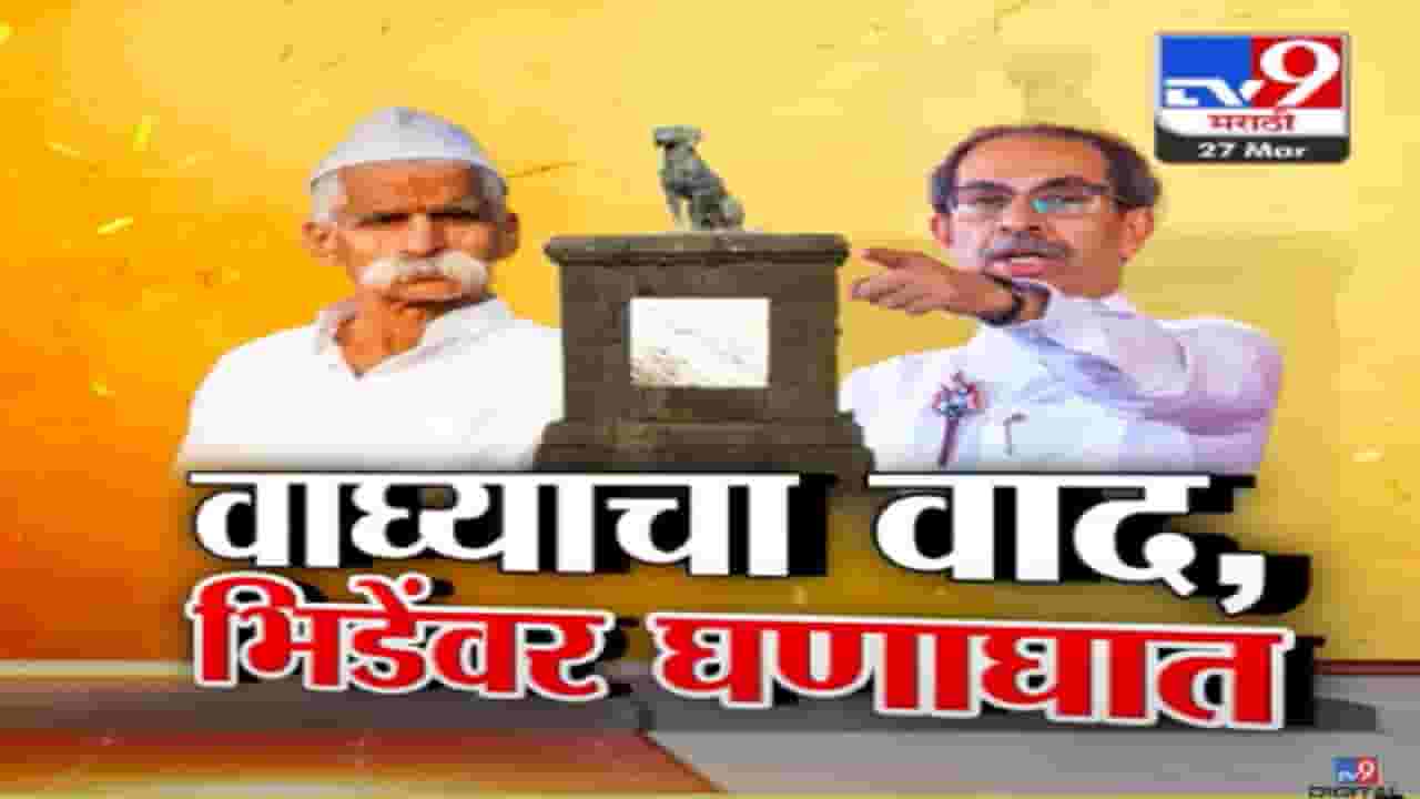 रायगडावरील 'वाघ्या'ला ऐतिहासिक महत्त्व की फक्त दंतकथा? संभाजी भिडेंवर ठाकरेंचा घणाघात