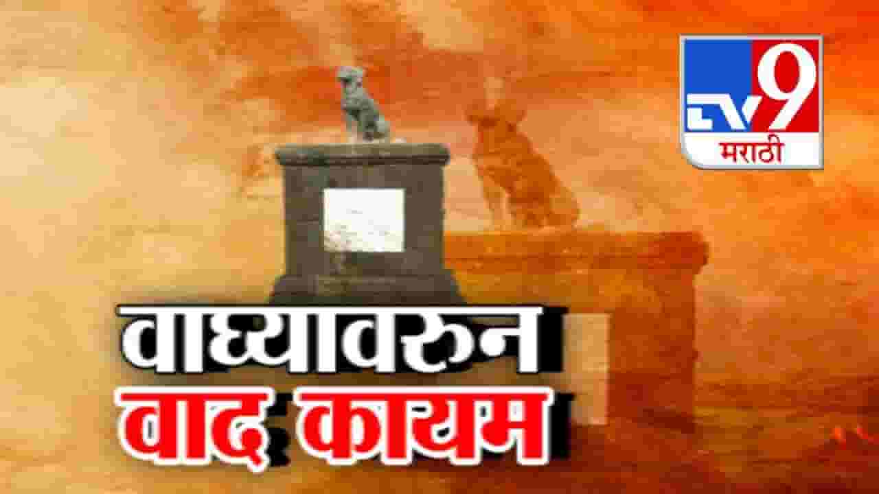 Waghya Dog Controversy : रायगडावरील वाघ्या कुत्र्यावरून वाद कायम, 'वाघ्या' कथा की इतिहास? सरकार सोक्षमोक्ष करणार?