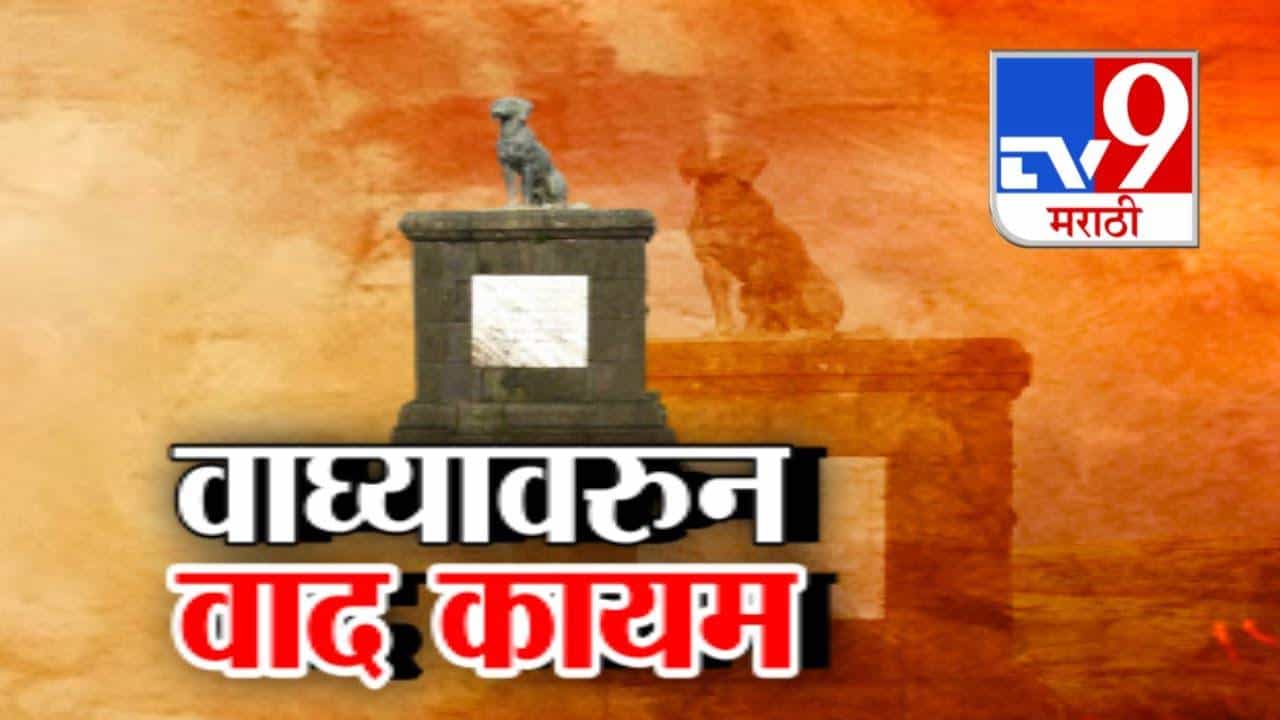 Waghya Dog Controversy : रायगडावरील वाघ्या कुत्र्यावरून वाद कायम, 'वाघ्या' कथा की इतिहास? सरकार सोक्षमोक्ष करणार? Waghya Dog Controversy : रायगडावरील वाघ्या कुत्र्यावरून वाद कायम, 'वाघ्या' कथा की इतिहास? सरकार सोक्षमोक्ष करणार?
