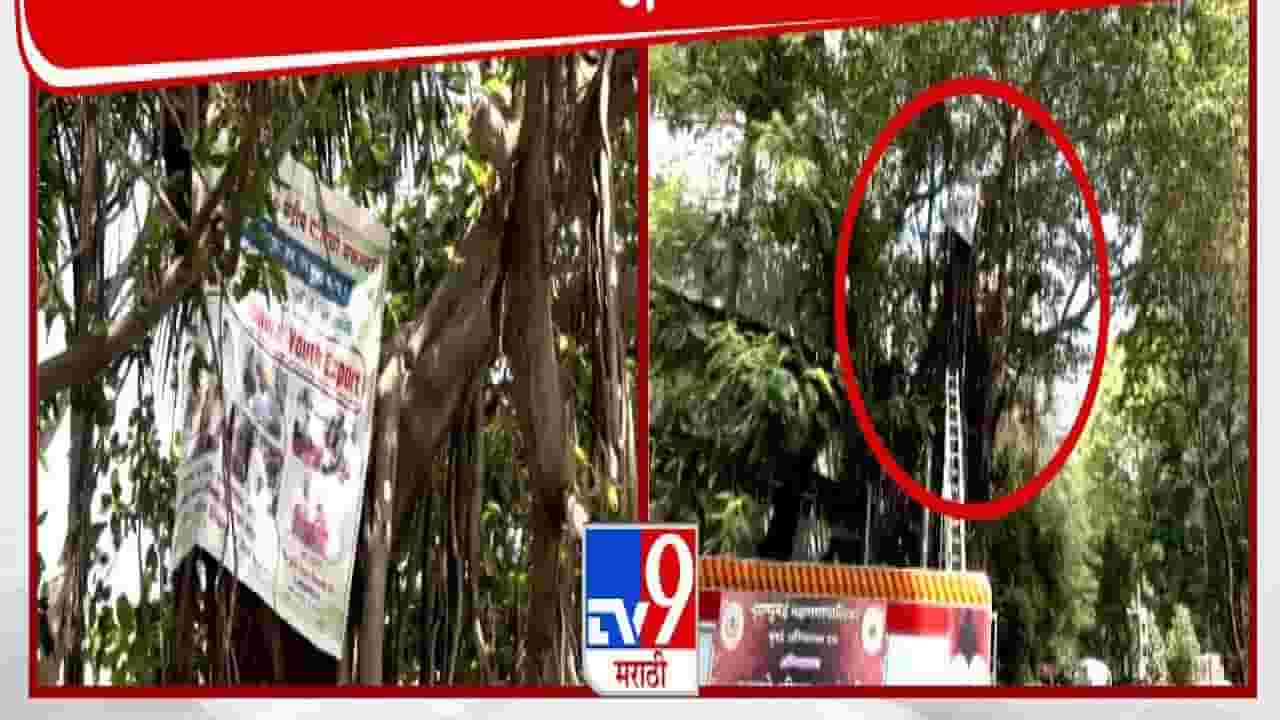 हातात तिरंगा अन् विधानभवन परिसरातील झाडाच्या टोकावर 'त्याचं' आंदोलन, पण मागणी नेमकी काय?