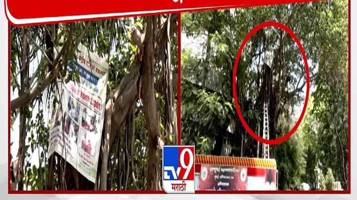 हातात तिरंगा अन् विधानभवन परिसरातील झाडाच्या टोकावर 'त्याचं' आंदोलन, पण मागणी नेमकी काय? हातात तिरंगा अन् विधानभवन परिसरातील झाडाच्या टोकावर 'त्याचं' आंदोलन, पण मागणी नेमकी काय?
