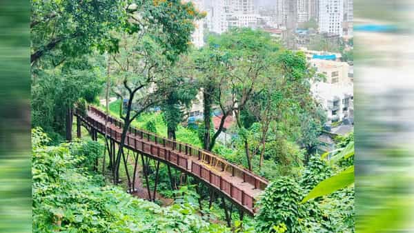 मुंबईतील पहिला एलिव्हेटेड फॉरेस्ट वॉकवे काल (30 मार्च, रविवार) पर्यटक आणि मुंबईकरांसाठी खुला झाला. निसर्गाच्या सानिध्यात असलेल्या या टूरिस्ट स्पॉटचा एंट्री पॉईट हा दक्षिण मुंबईतील कमला नेहरू पार्क येथे आहे.
