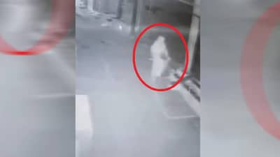 रात्रीच येते आणि घंटी वाजवून जाते... कोण आहे ती रहस्यमयी महिला जिला पाहून जनावरेही पळतात?