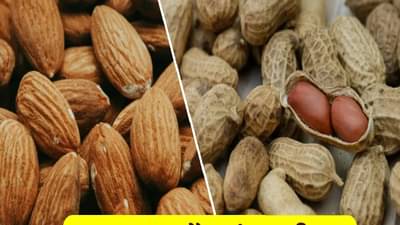बदाम की शेंगदाणे आरोग्यासाठी कोण अधिक फायदेशीर? जाणून घ्या