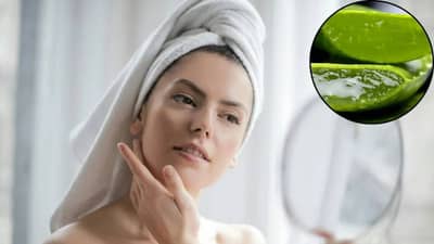 skincare tips: उन्हाळ्यात त्वचेला या पद्धतीनं कोरफड लावा, पिंपल्स आणि मुरूमच्या समस्या होतील दूर....