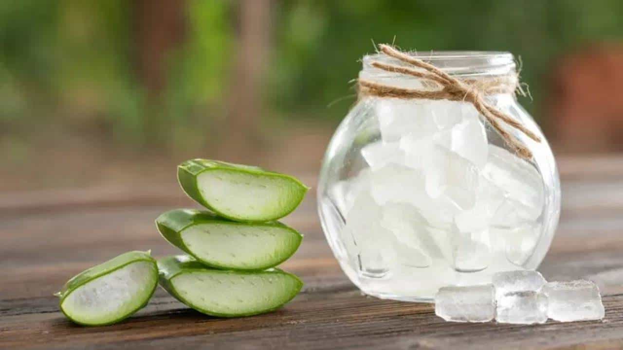 summer hydration: उन्हाळ्यात शरीराला हायड्रेटेड ठेवण्यासाठी ही 3 पाने ठरेल फायदेशीर....