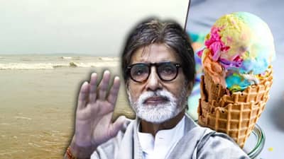 फळ विक्रेत्याच्या मुलाने अमिताभ बच्चनच्या घराजवळ सुरु केला 300 कोटींच्या आइस्क्रीमचा धंदा