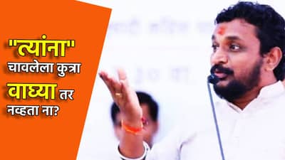 त्यांना चावलेला कुत्रा वाघ्या तर नव्हता ना? अमोल मिटकरी यांच्या समाज माध्यमांवरील त्या पोस्टने वादाला फोडले तोंड, म्हणाले खटला फास्ट ट्रॅक...