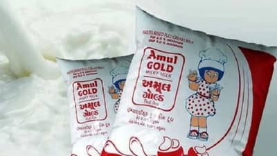 महागाईचा आणखी एक झटका; दुधाच्या दरात पुन्हा वाढ