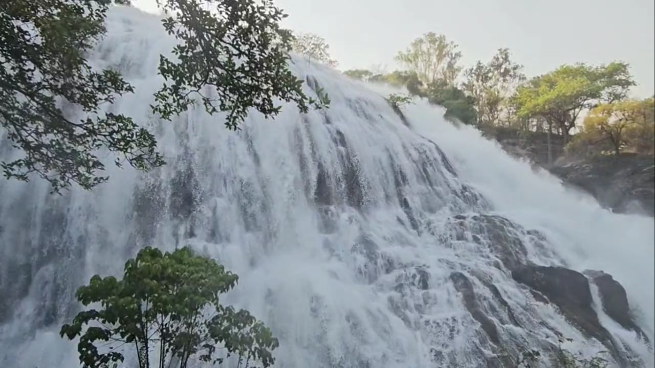 निसर्गरम्य ठिकाण म्हणून ओळखल्या जाणाऱ्या अहिल्यानगर जिल्ह्यातील भंडारदरा धरण परिसरात यंदा उन्हाळ्यातही गर्दी पाहायला मिळत आहे.