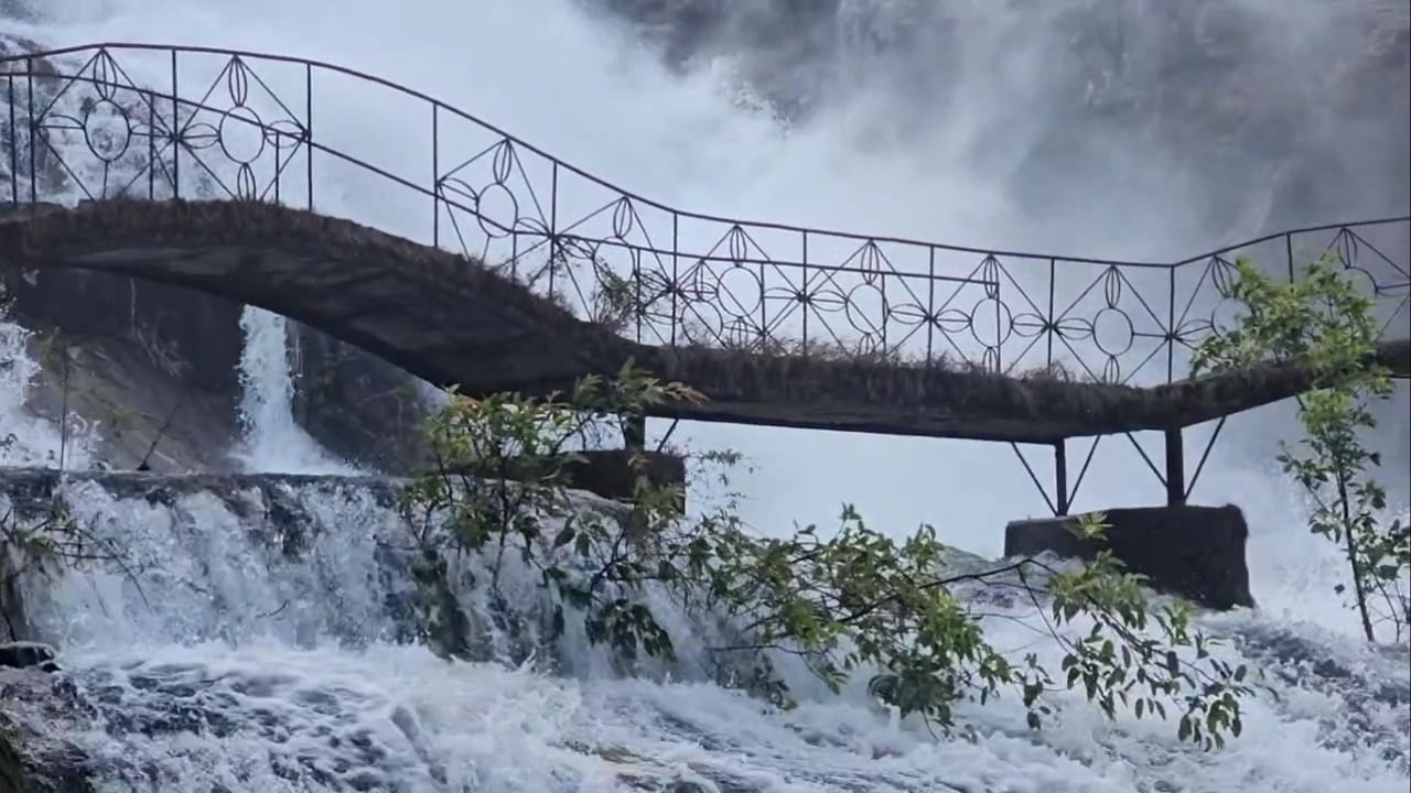 अनेक पर्यटक येथे उन्हाळी पर्यटनाचा आनंद घेत आहेत. पुढील आठ ते दहा दिवस पर्यटकांना अंब्रेला फॉलच्या या विलोभनीय दृश्याचा आनंद घेता येणार आहे.