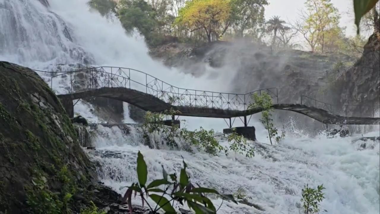 याचे प्रमुख कारण म्हणजे भंडारदरा धरणातील मुबलक पाणीसाठ्यामुळे अंब्रेला फॉल पुन्हा एकदा धो-धो कोसळत आहे.