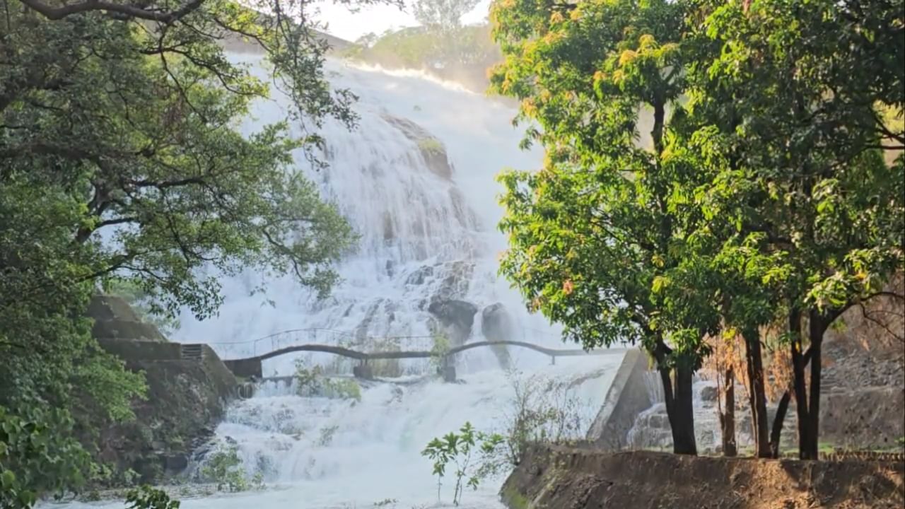 एरव्ही थंड हवेचे ठिकाण म्हणून ओळखले जाणारे भंडारदरा यावर्षी उन्हाळ्यात अंब्रेला फॉल सुरू झाल्यामुळे पर्यटकांनी गजबजले आहे.