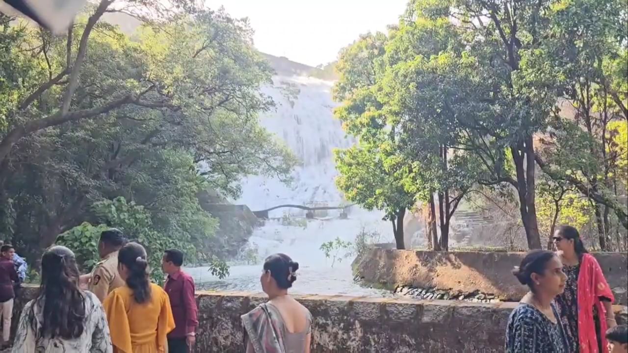 भंडारदरा धरणातून शेती आणि पिण्याच्या पाण्यासाठी आवर्तन सोडण्यात आल्याने प्रसिद्ध अंब्रेला धबधबा प्रवाहित झाला आहे.