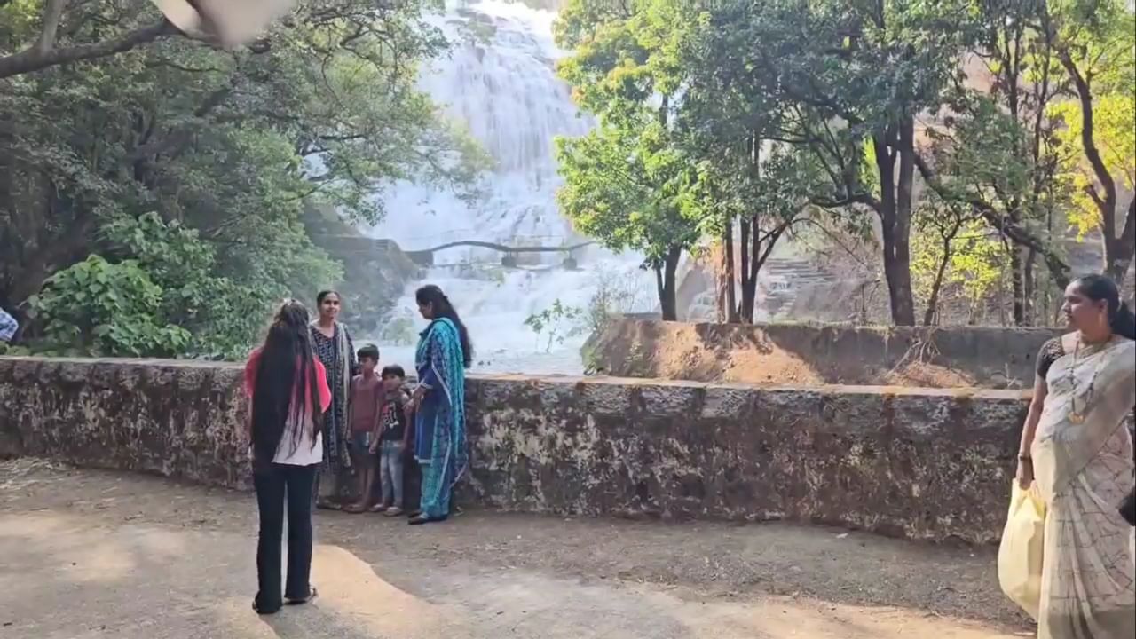 राज्यात उष्णतेचा पारा वाढत असताना अंब्रेला फॉलमधून कोसळणारे पांढरे शुभ्र पाणी पर्यटकांना मोठा आनंद देत आहे.
