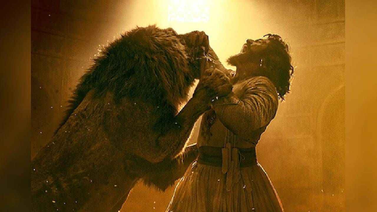 विकी कौशलचा हा ब्लॉकबस्टर चित्रपट 11 एप्रिल रोजी नेटफ्लिक्स या ओटीटी प्लॅटफॉर्मवर प्रदर्शित होऊनही थिएटरमध्ये दहाव्या आठवड्यातही तो थिएटरमध्ये कमाई करत आहे. या चित्रपटाने आजवर बॉक्स ऑफिस कलेक्शनचे अनेक रेकॉर्ड मोडले आहेत. 
