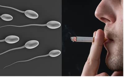 सिगारेट पिणाऱ्यांनो सावधान, स्री आणि पुरुष दोघांच्या फर्टीलिटीला असा होतो धोका...
