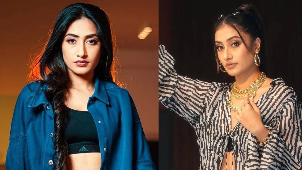 त्यापाठोपाठ धनश्रीला बिग बॉस ओटीटी सिझन ४ची देखील ऑफर आली आहे.