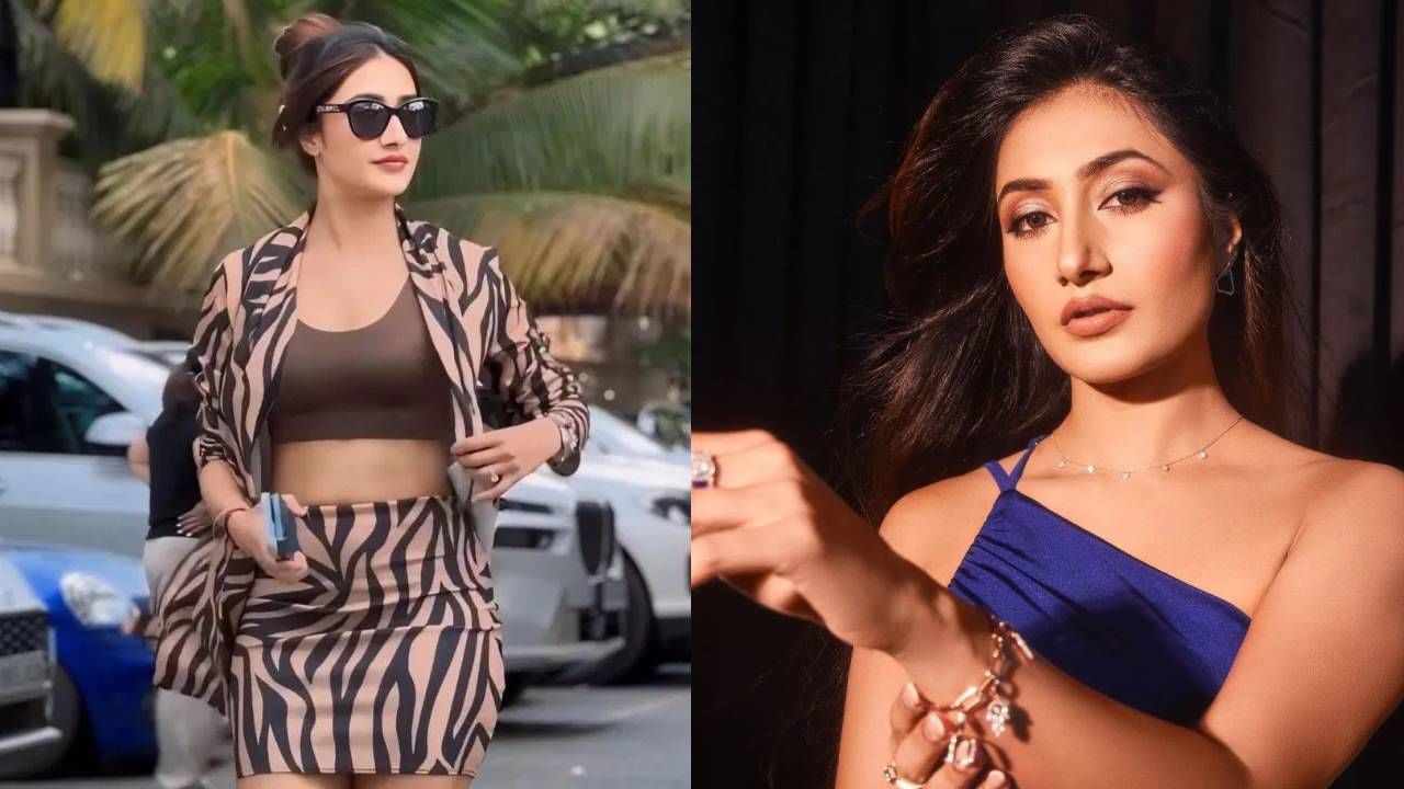 घटस्फोटानंतर धनश्रीचे नशीब फळफळे असल्याच्या चर्चा आहेत. कारण तिला एकाच वेळी दोन मोठ्या रिअॅलिटी शोची ऑफर आली आहे. आता हे शो कोणते असा प्रश्न सर्वांना पडला आहे.