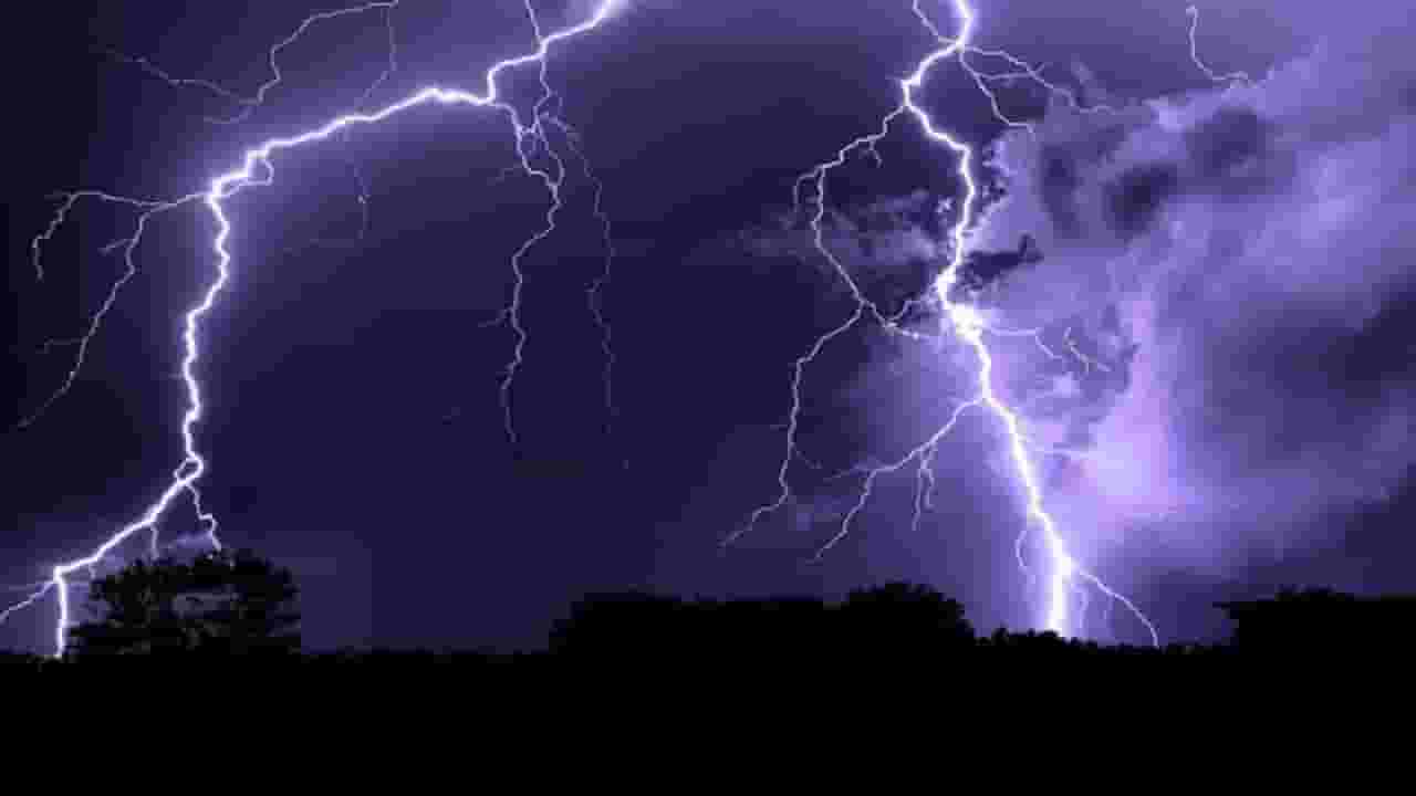 Maharashtra Weather Update : राज्यात आज मुसळधार... 'या' भागाला पाऊस झोडपणार? हवामान खात्याचा अंदाज काय? Maharashtra Weather Update : राज्यात आज मुसळधार... 'या' भागाला पाऊस झोडपणार? हवामान खात्याचा अंदाज काय?