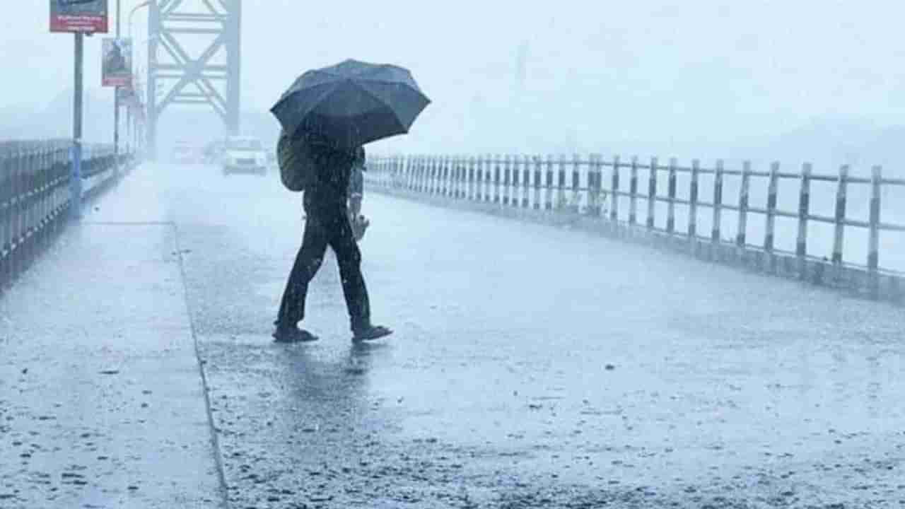 IMD weather forecast : वादळाचा तडाखा, महाराष्ट्राला पाऊस झोडपणार, या जिल्ह्यांना हाय अलर्ट
