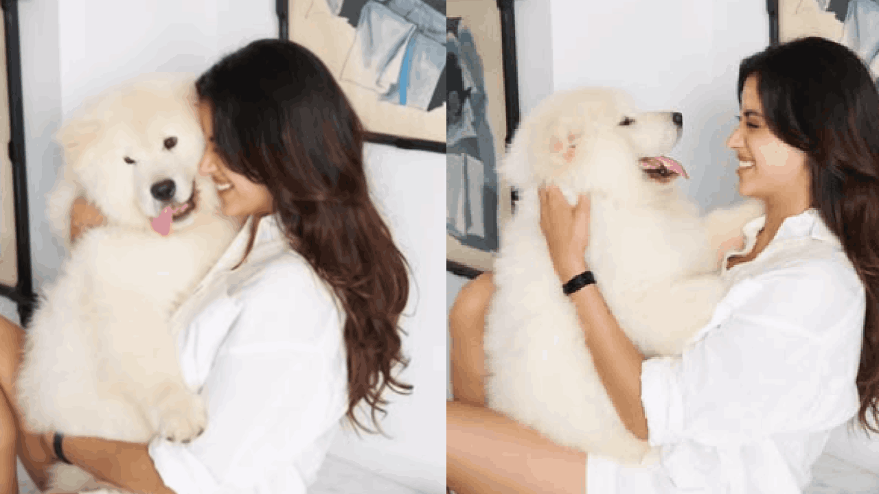 तब्बल 5 कोटी रुपयांची कार गिफ्ट करणाऱ्या जान्हवीच्या मैत्रिणीचे नाव अनाया बिर्ला असे आहे.