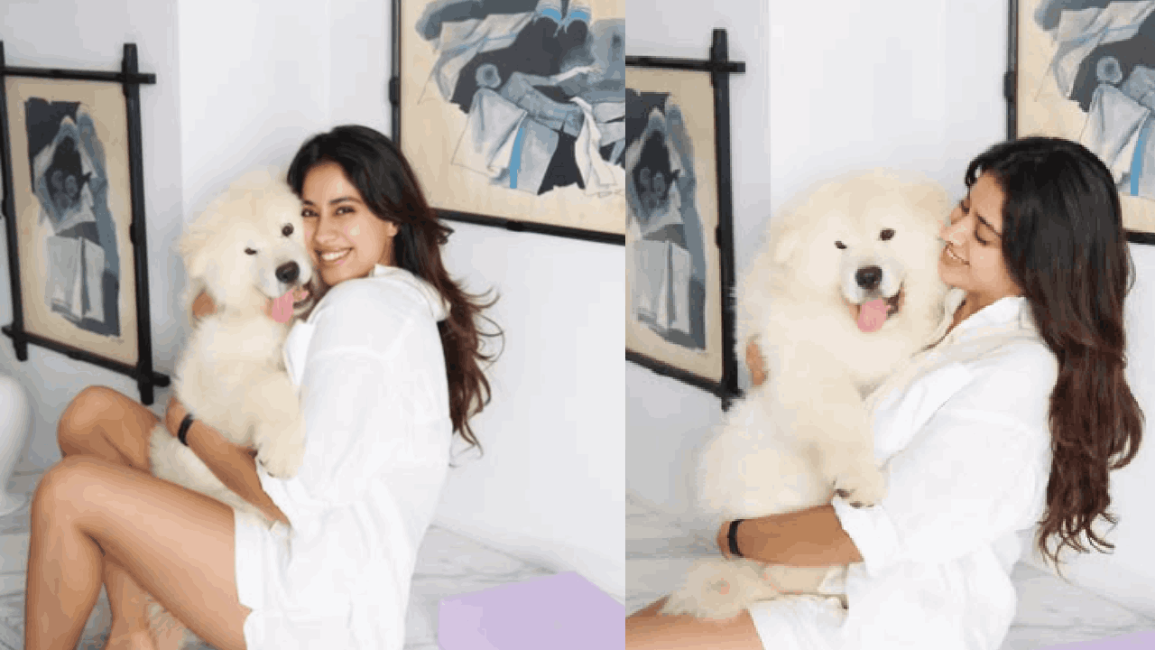 जान्हवी कपूरकडे इतरही अनेक महागड्या कार आहेत. याच महागड्या कारमध्ये आता लॅम्बोर्गिनी कारचाही समावेश झाला हआहे. 