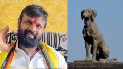 आज कुत्र्याला विरोध, उद्या महादेवसमोरचा नंदी काढा म्हणाल; लक्ष्मण हाकेंचा हल्लाबोल