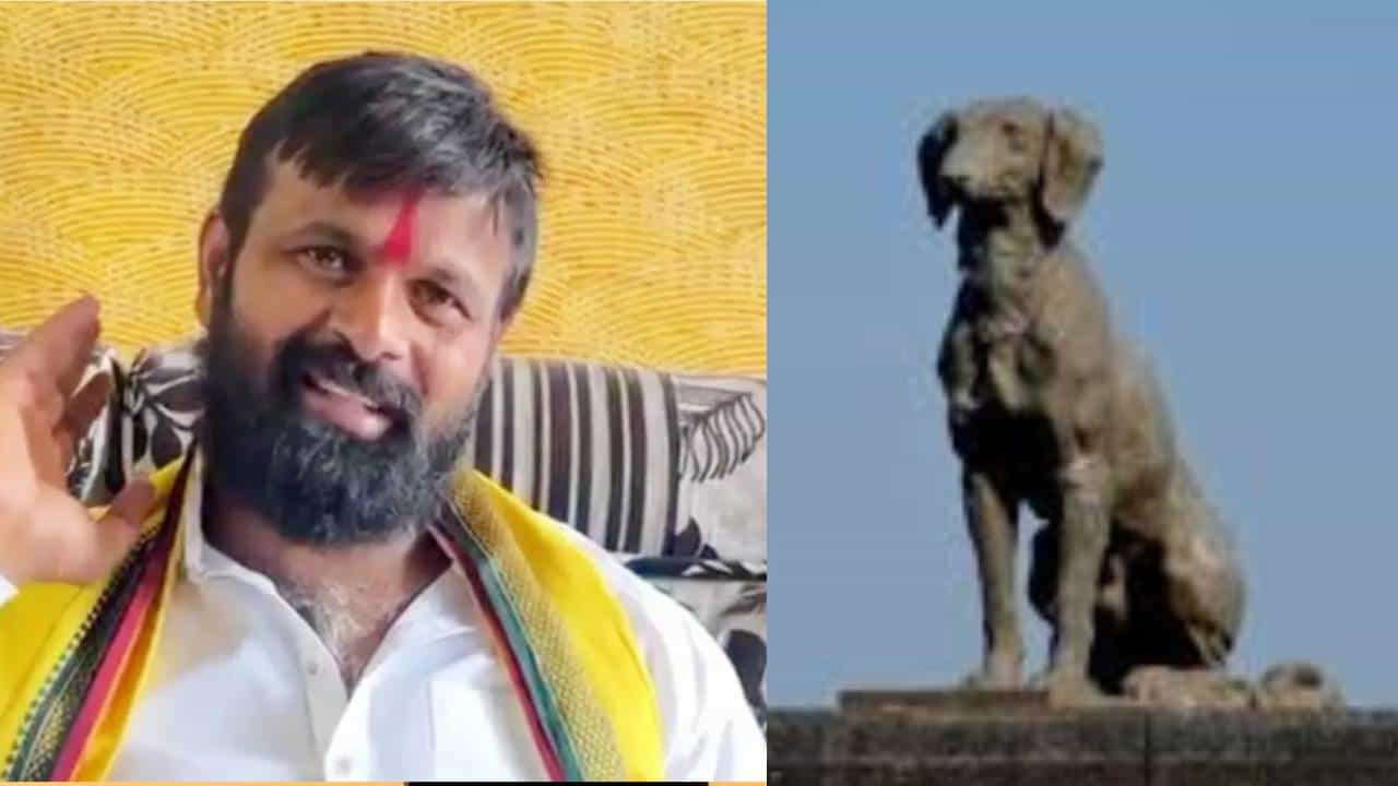 आज कुत्र्याला विरोध, उद्या महादेवसमोरचा नंदी काढा म्हणाल; लक्ष्मण हाकेंचा हल्लाबोल