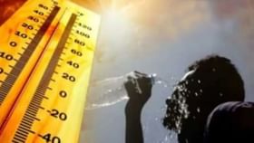 राज्यात आणखी एक उष्माघाताचा बळी? बुलढाण्यात एसटी वाहकाचा मृत्यू