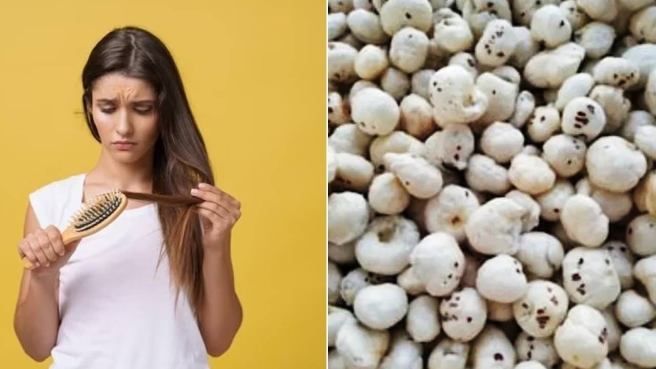 मखानापासून रोखू शकतो केस गळती, जाणून घ्या वापरण्याची सर्वोत्तम पद्धत मखानापासून रोखू शकतो केस गळती, जाणून घ्या वापरण्याची सर्वोत्तम पद्धत