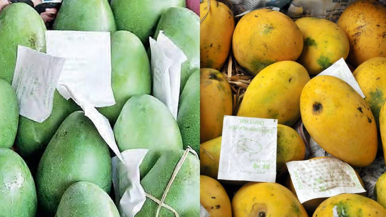 FSSAI ने राज्य आणि केंद्रशासित प्रदेशांच्या खाद्य सुरक्षा विभागांना सांगितलं आहे की त्यांनी चुकीच्या पद्धती अवलंबणाऱ्यांवर कडक नजर ठेवावी आणि त्यांच्याविरोधात कठोर कारवाई करावी.